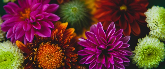 对于费城 对于费城