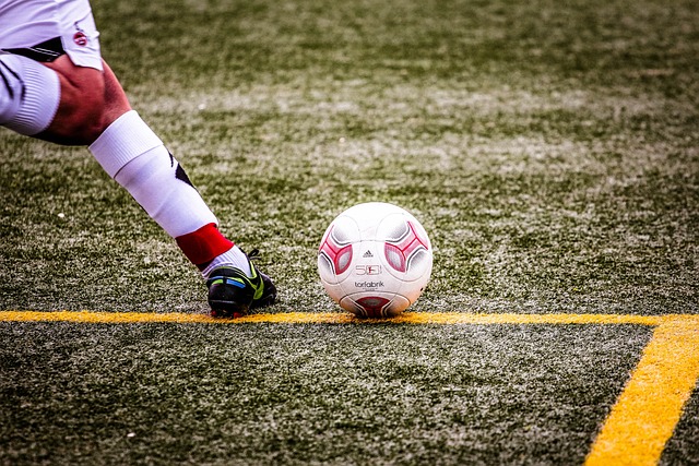 不仅开阔了 不仅开阔了