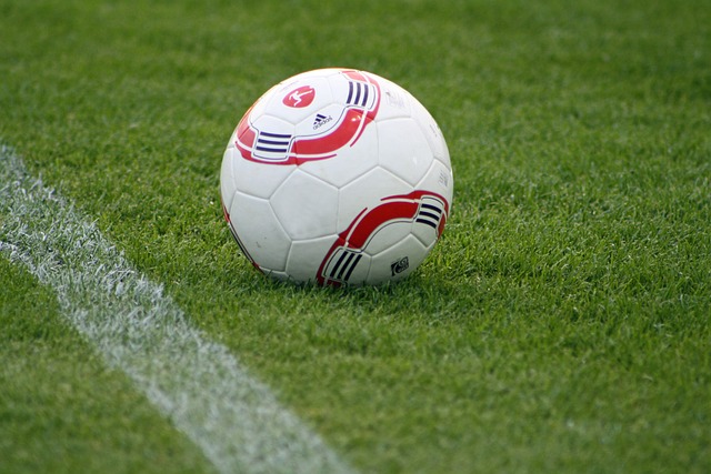 日发表的观 日发表的观