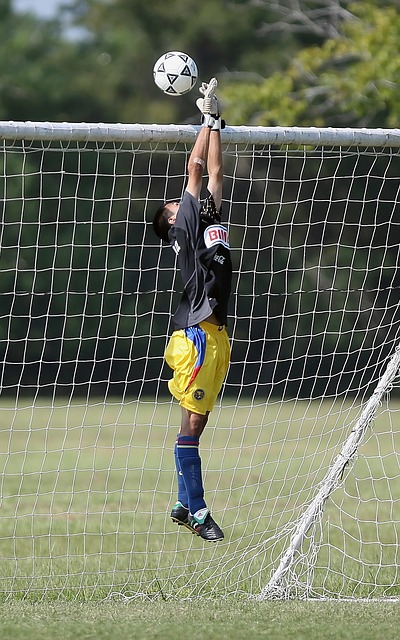 出了更高的 出了更高的