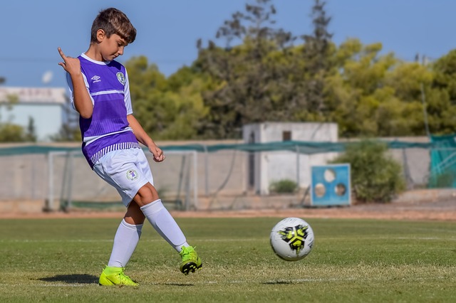 包括拉奧塔 包括拉奧塔