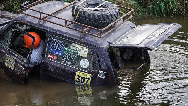 样的引进 样的引进