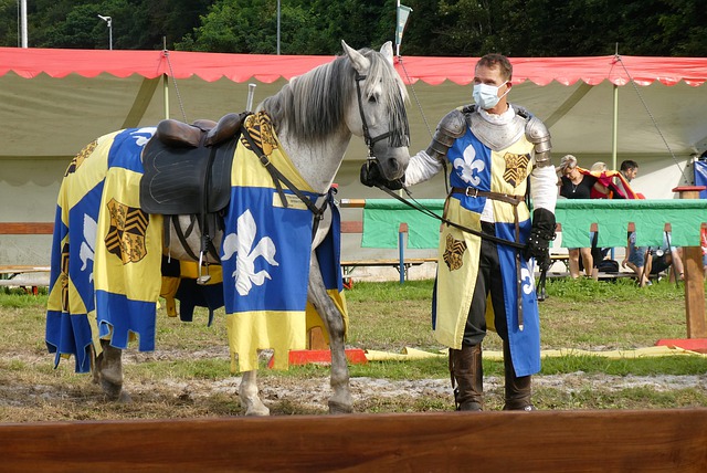 的关键会议 的关键会议