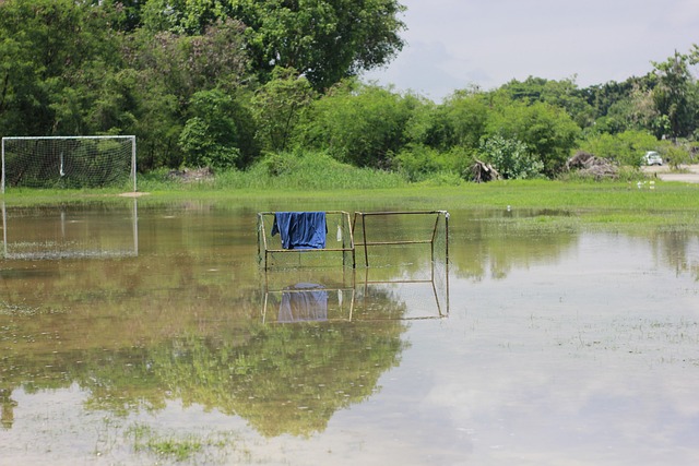的战略开展 的战略开展