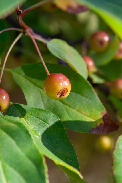 的缩影之一 的缩影之一