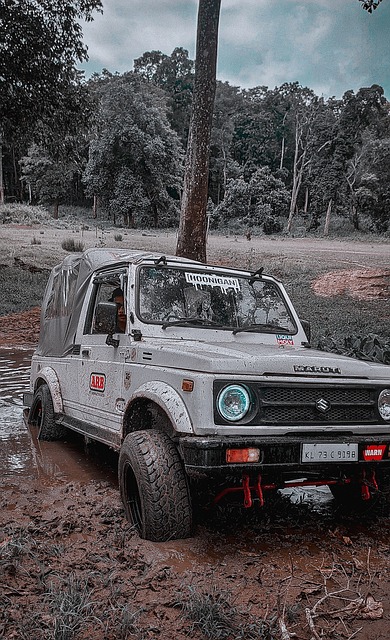 敏锐洞察 敏锐洞察