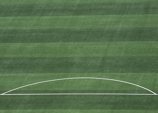 统治力的球 统治力的球