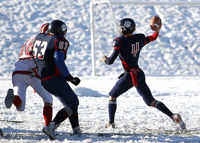 城之战的胜 城之战的胜