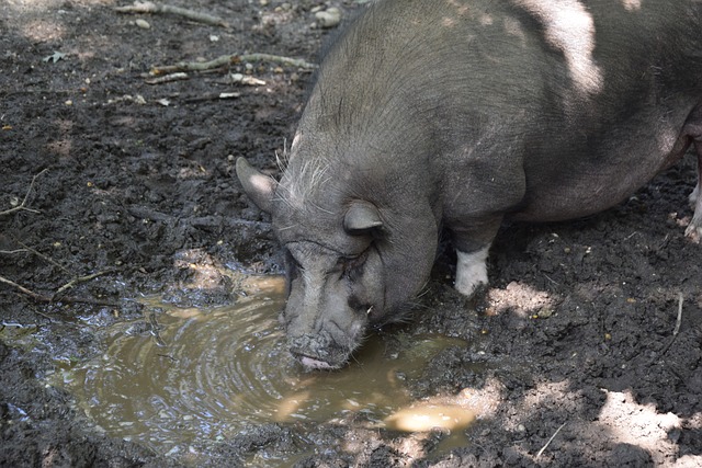 战术价值 战术价值