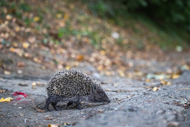 往方面展现 往方面展现